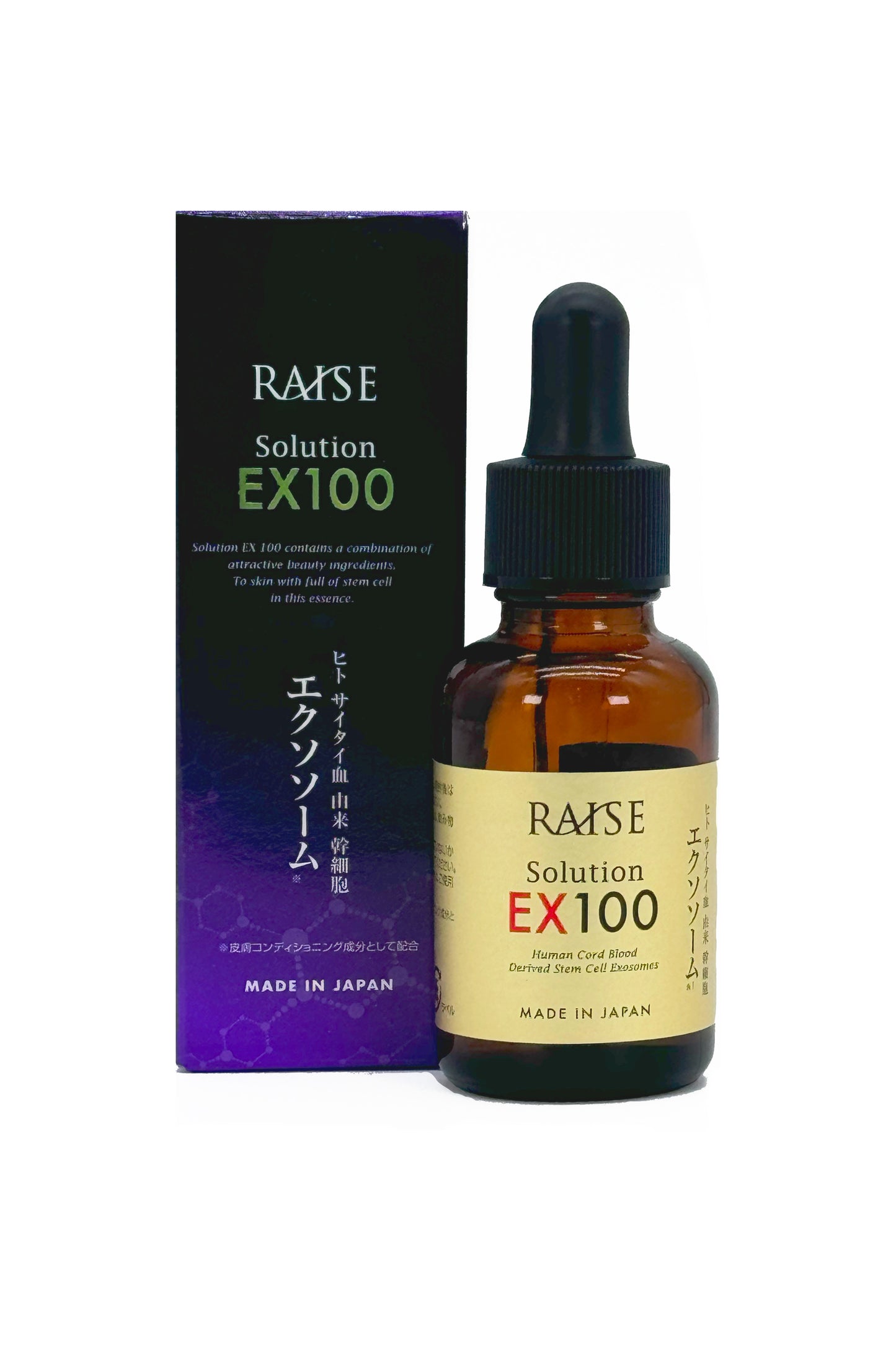 Raise Solution EX100